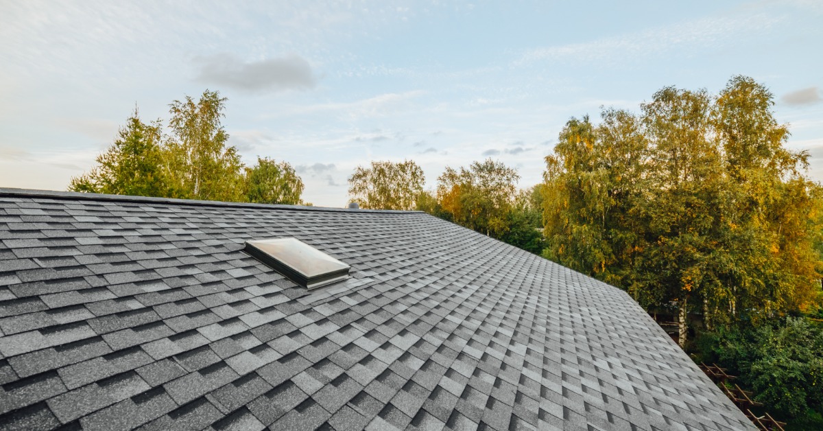 A close-up of a home roof covered in grey tiles with a small skylight and various treetops showing in the back.