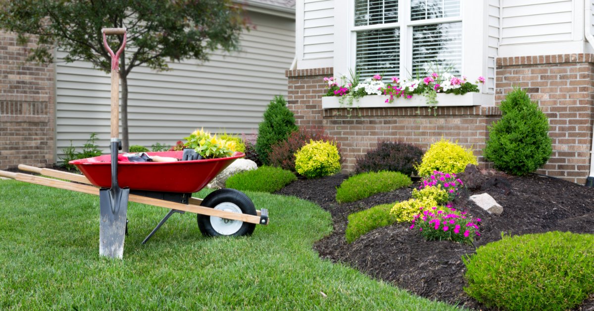 A black shovel and a red wheelbarrow placed over lush grass, next to a garden with flowers and small bushes.