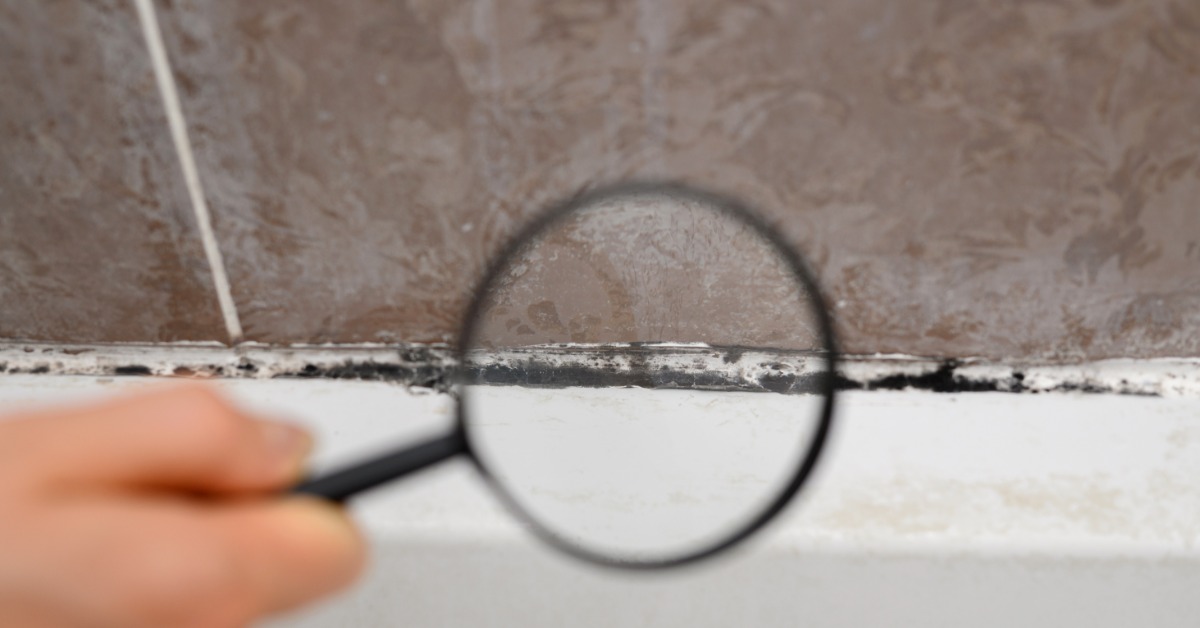 A close-up of a hand holding a magnifying glass close to the edge of a bathtub with a black line of mold.