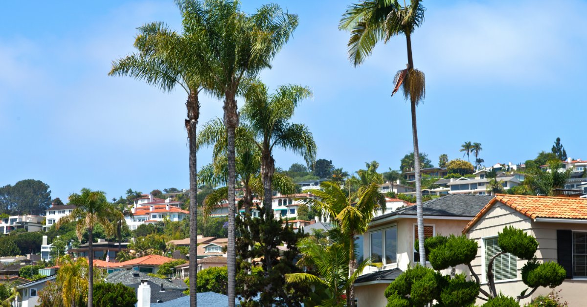 Multiple hillside homes of different sizes scattered across a small hill between palm trees and bushes under the sun.